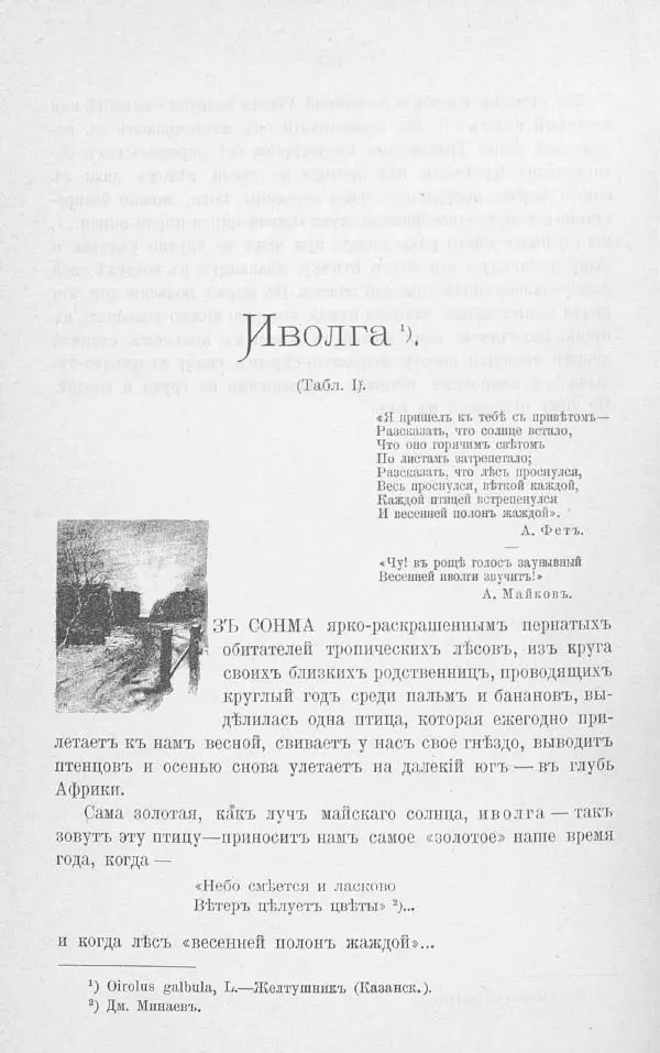 Дмитрий Кайгородов - Изъ царства пернатыхъ - Страница № 195