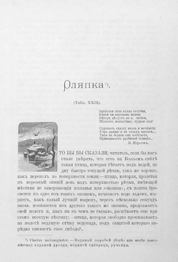 Дмитрий Кайгородов - Изъ царства пернатыхъ - Страница № 200