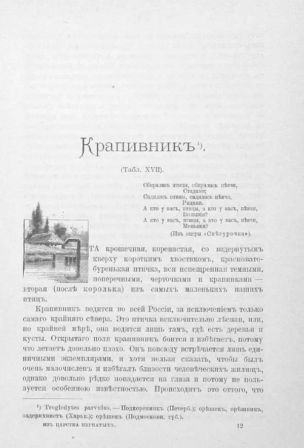 Дмитрий Кайгородов - Изъ царства пернатыхъ - Страница № 205