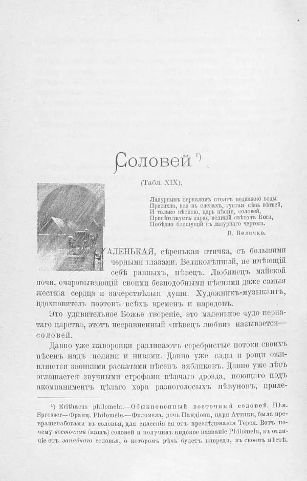 Дмитрий Кайгородов - Изъ царства пернатыхъ - Страница № 223