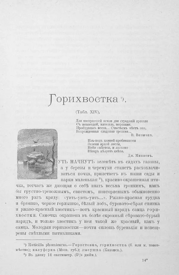 Дмитрий Кайгородов - Изъ царства пернатыхъ - Страница № 242