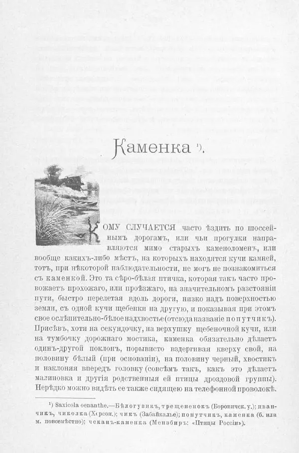 Дмитрий Кайгородов - Изъ царства пернатыхъ - Страница № 251