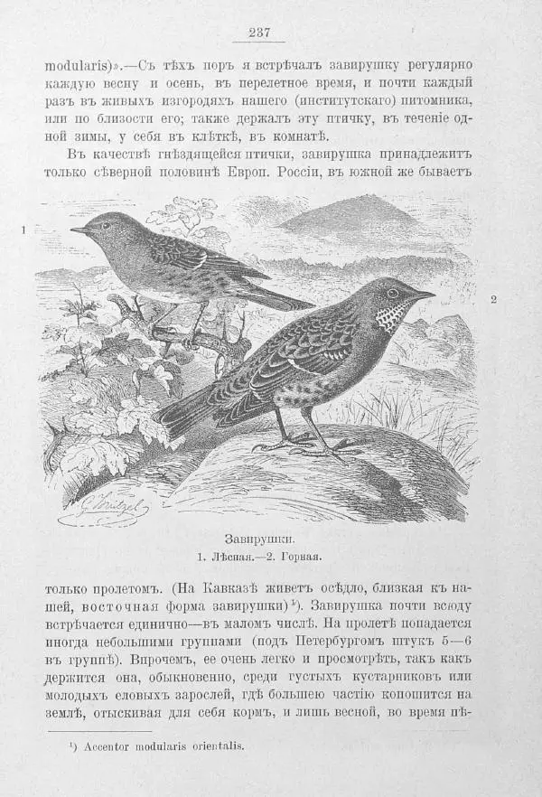 Дмитрий Кайгородов - Изъ царства пернатыхъ - Страница № 269