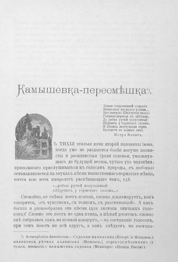Дмитрий Кайгородов - Изъ царства пернатыхъ - Страница № 282