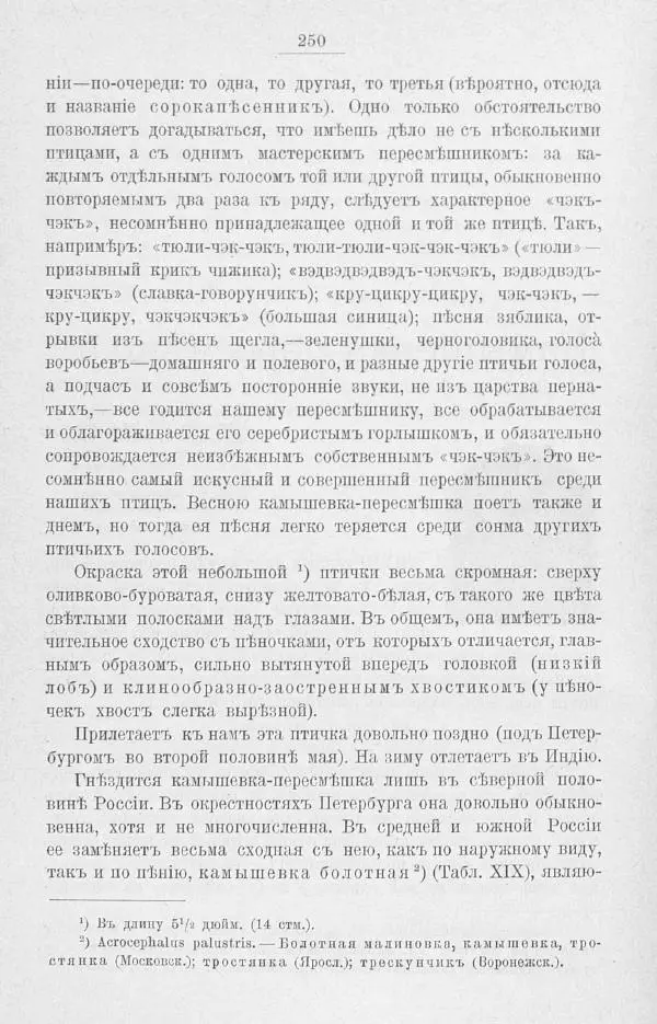 Дмитрий Кайгородов - Изъ царства пернатыхъ - Страница № 283