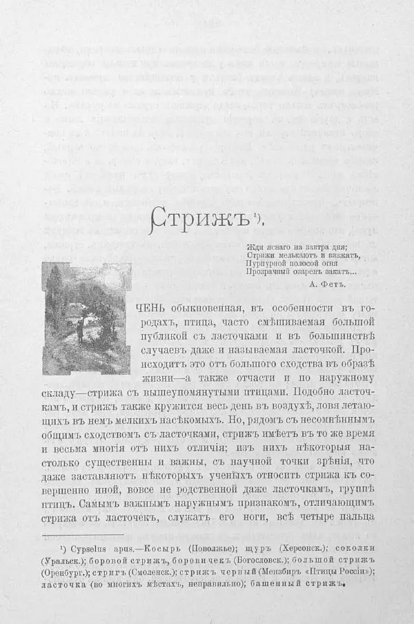 Дмитрий Кайгородов - Изъ царства пернатыхъ - Страница № 298