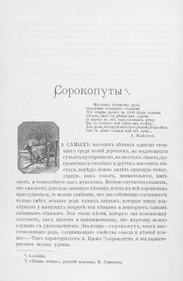 Дмитрий Кайгородов - Изъ царства пернатыхъ - Страница № 315