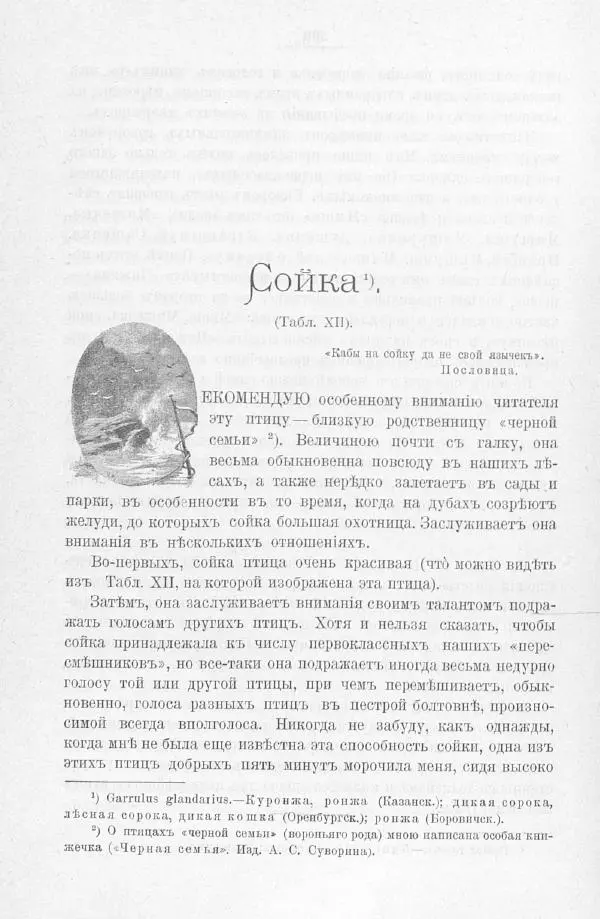 Дмитрий Кайгородов - Изъ царства пернатыхъ - Страница № 336