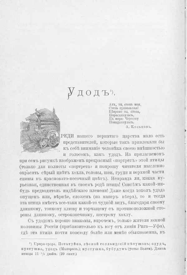 Дмитрий Кайгородов - Изъ царства пернатыхъ - Страница № 343