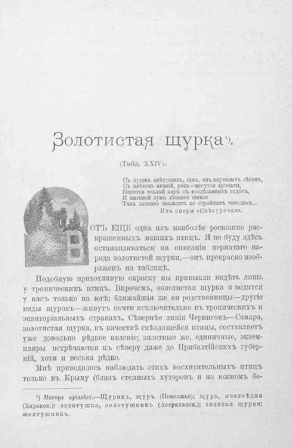 Дмитрий Кайгородов - Изъ царства пернатыхъ - Страница № 354