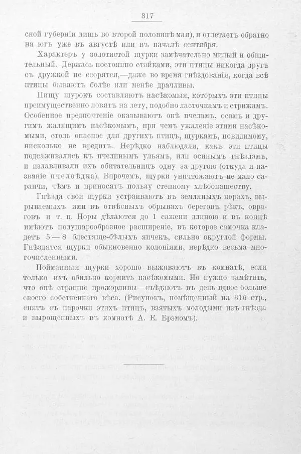 Дмитрий Кайгородов - Изъ царства пернатыхъ - Страница № 356