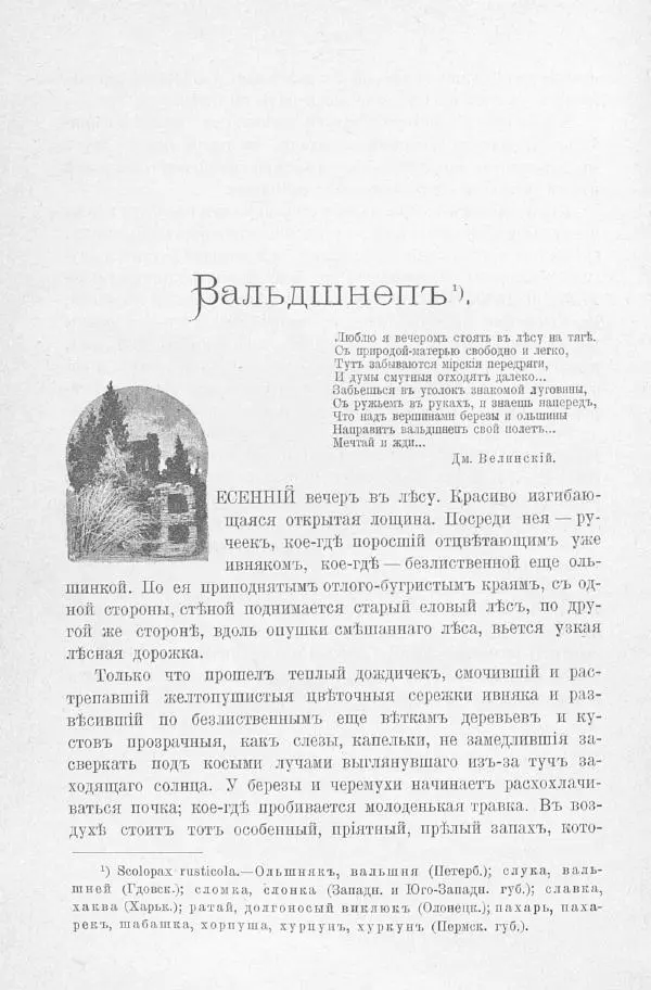 Дмитрий Кайгородов - Изъ царства пернатыхъ - Страница № 357
