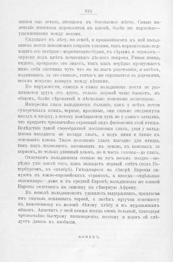 Дмитрий Кайгородов - Изъ царства пернатыхъ - Страница № 364