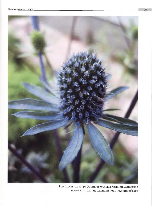 Мария Якушева - Трансформация природного мотива в орнаментальную декоративную форму - Страница № 40