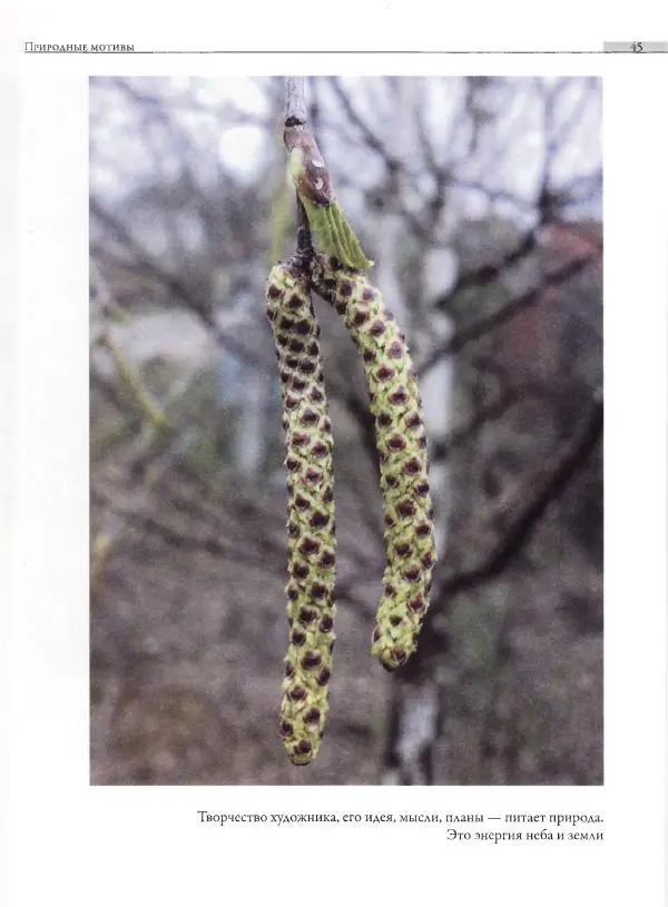 Мария Якушева - Трансформация природного мотива в орнаментальную декоративную форму - Страница № 46
