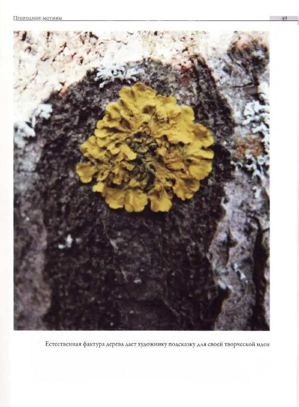 Мария Якушева - Трансформация природного мотива в орнаментальную декоративную форму - Страница № 50