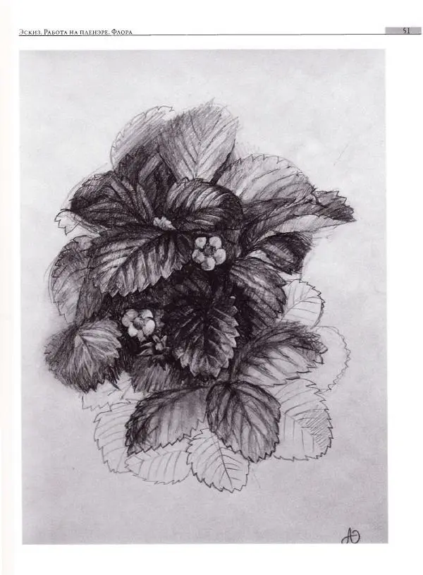 Мария Якушева - Трансформация природного мотива в орнаментальную декоративную форму - Страница № 52