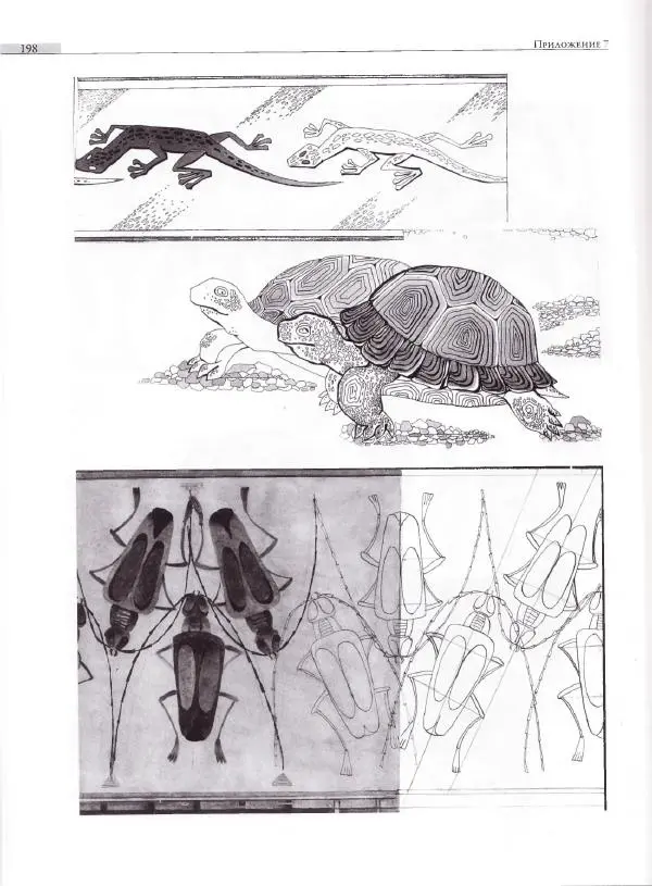 Мария Якушева - Трансформация природного мотива в орнаментальную декоративную форму - Страница № 199