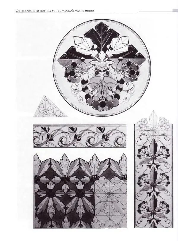 Мария Якушева - Трансформация природного мотива в орнаментальную декоративную форму - Страница № 224