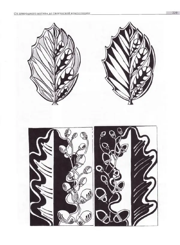 Мария Якушева - Трансформация природного мотива в орнаментальную декоративную форму - Страница № 230