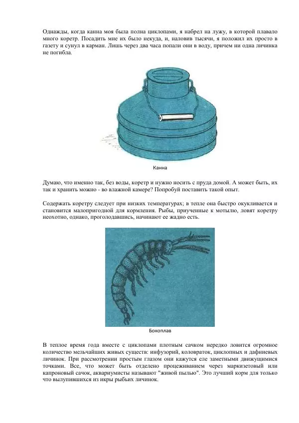 Федор Полканов - Подводный мир в комнате - Страница № 34