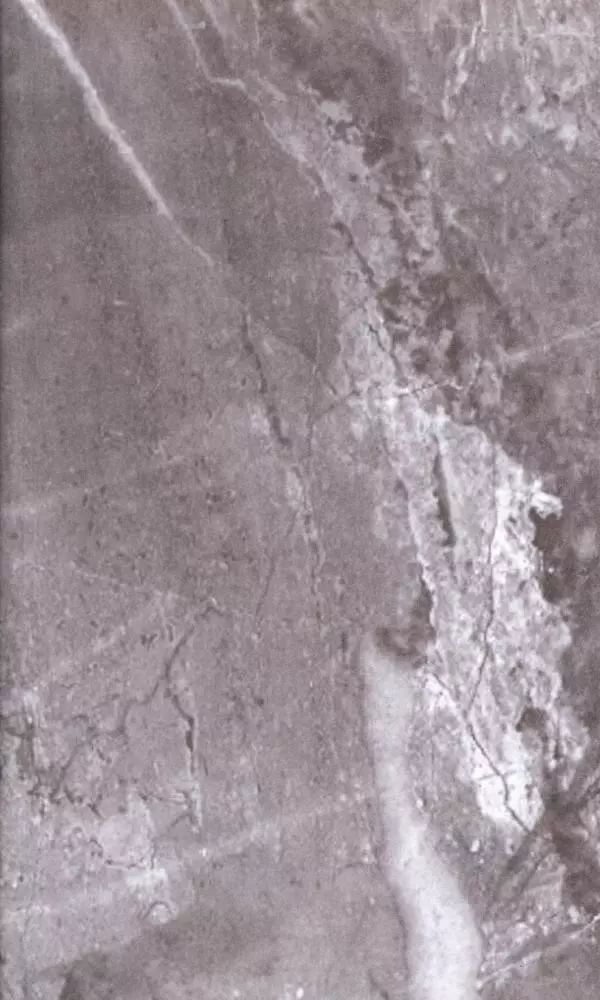 П. Бермондт-Авалов - В борьбе с большевизмом. Книга 1 - Страница № 450