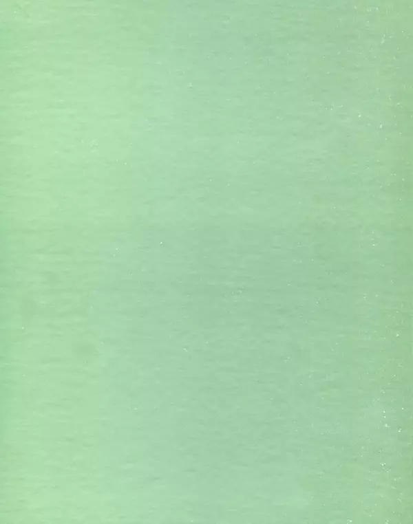 Наталья Белокобыльская - Генерал - Страница № 402