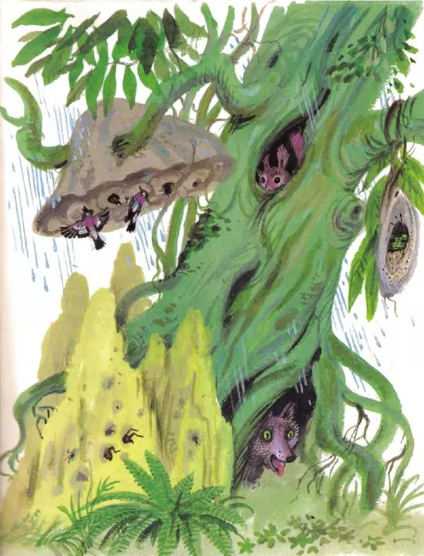 Борис Заходер - Кит и Кот - Страница № 19