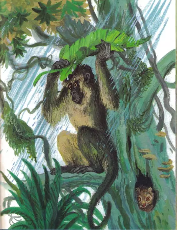 Борис Заходер - Кит и Кот - Страница № 29