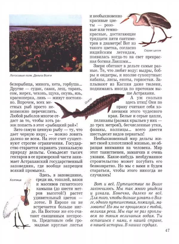 Наталья Майорова - Волга. От Валдая до Каспия - Страница № 47