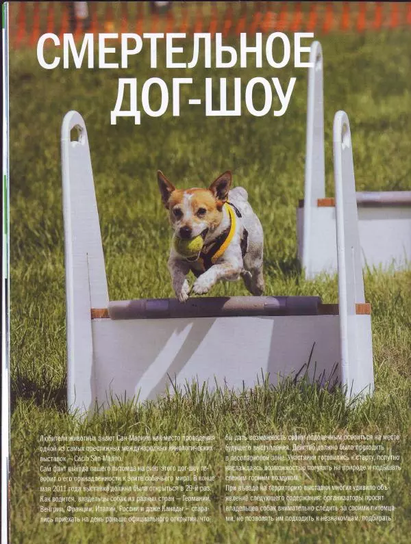  журнал Полицейские машины мира - Fiat Punto SX. Жандармерия Сан-Марино - Страница № 14