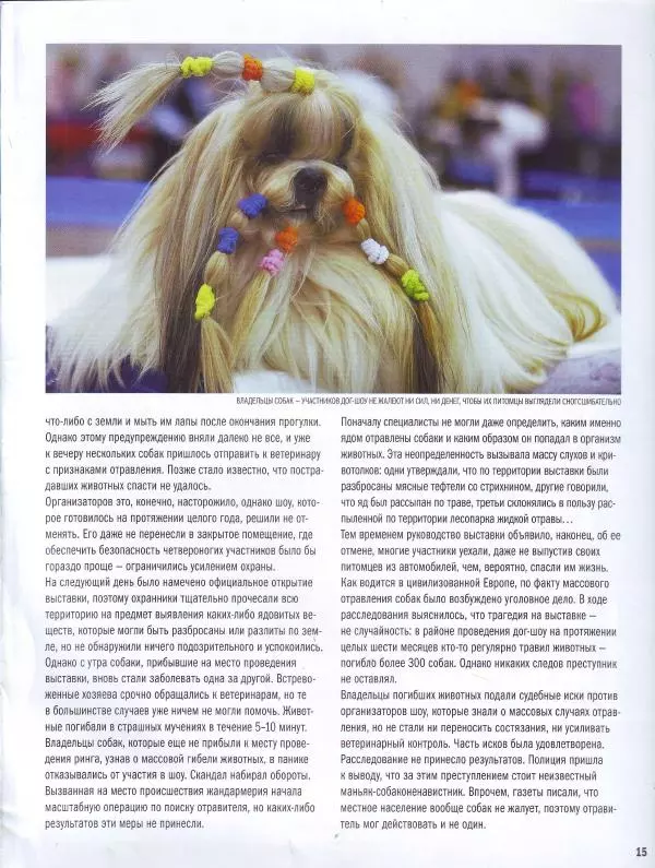  журнал Полицейские машины мира - Fiat Punto SX. Жандармерия Сан-Марино - Страница № 15