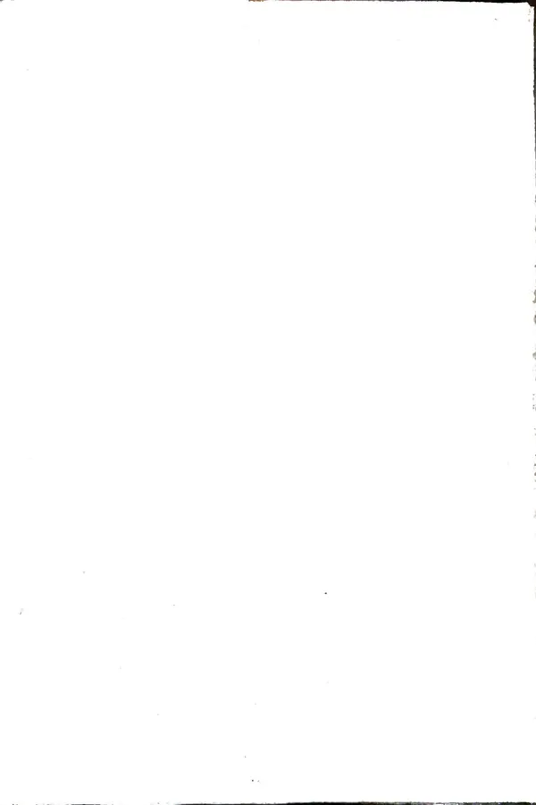 Андрей Батурин - Я скоро вернусь... - Страница № 245