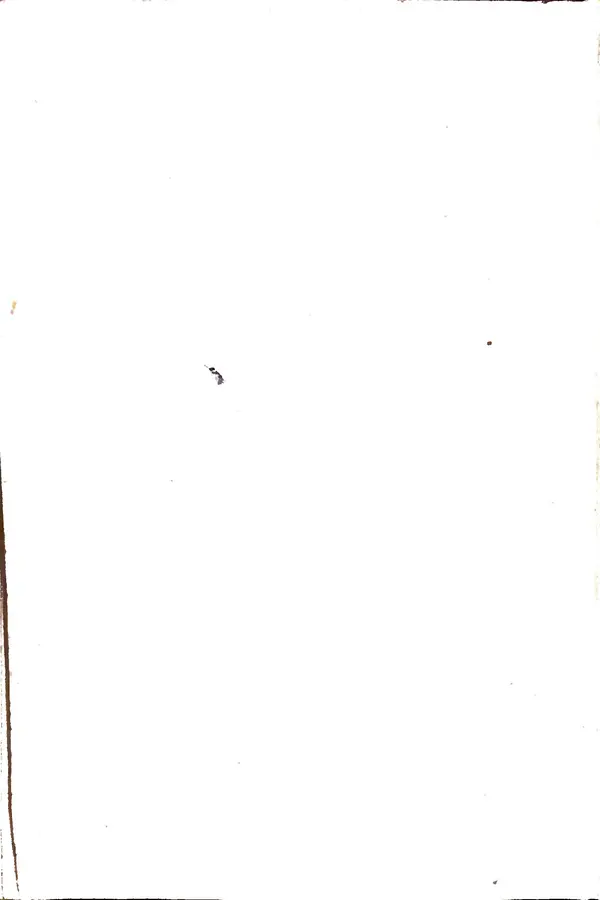 Андрей Батурин - Я скоро вернусь... - Страница № 246