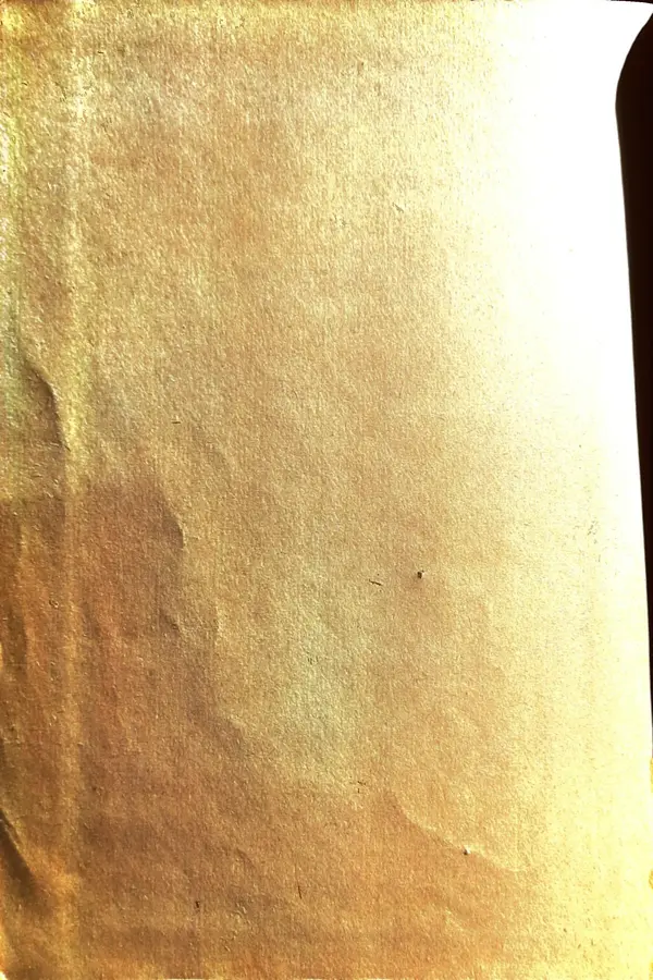 Андрей Батурин - Я скоро вернусь... - Страница № 4