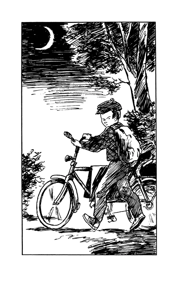 Астрид Линдгрен - Том 8. Расмус-бродяга - Страница № 310