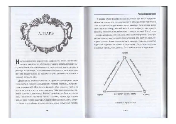 Дональд Тайсон - Гримуар Некрономикон - Страница № 51