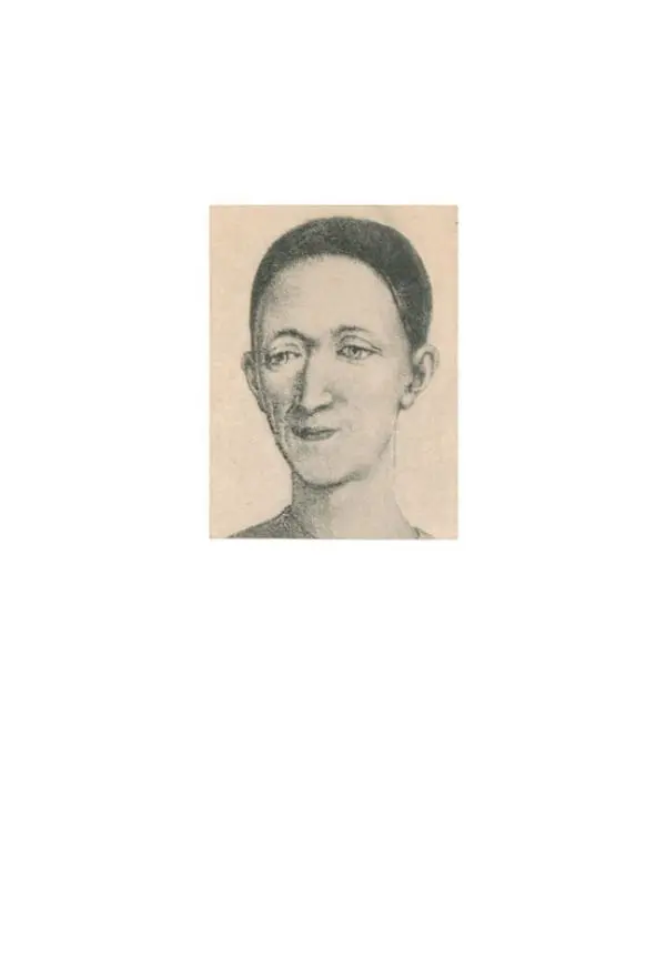 Франтишек Кожик - Дебюро - Страница № 13