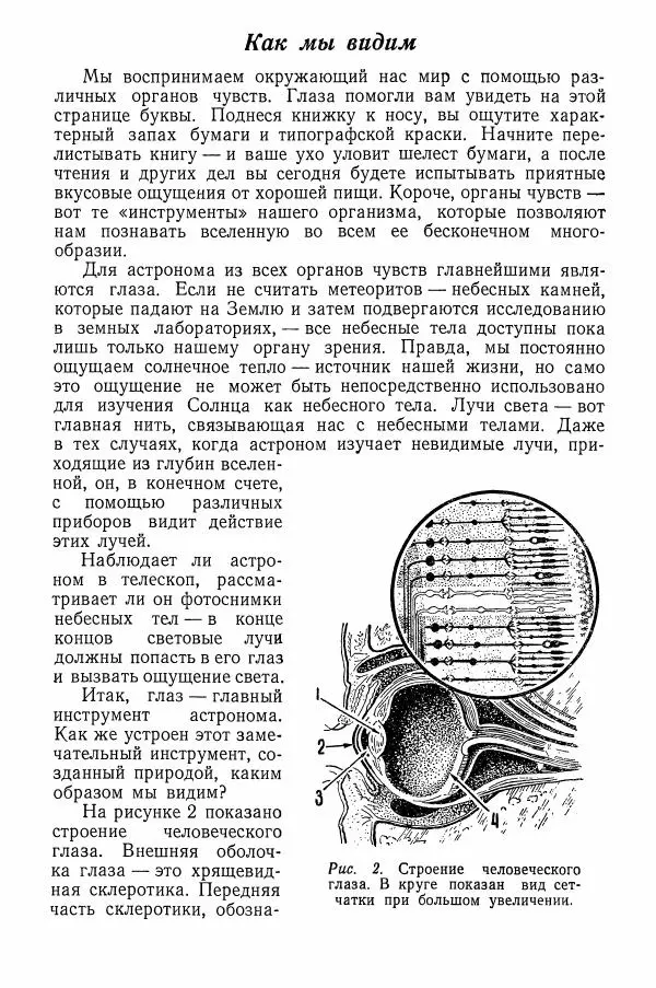 Феликс Зигель - Юный астроном - Страница № 8