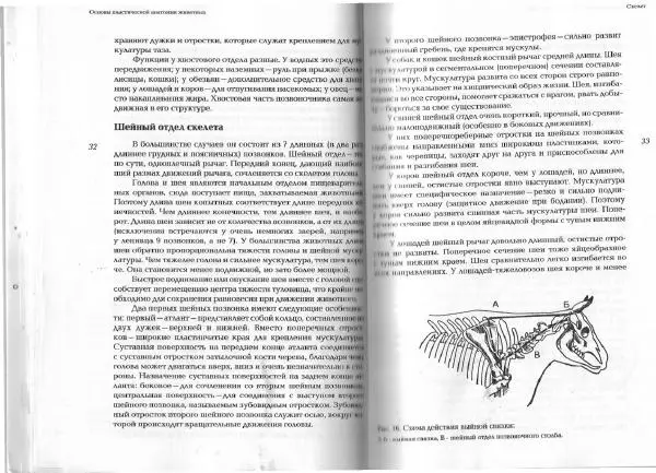  - Рисование животных и птиц - Страница № 15