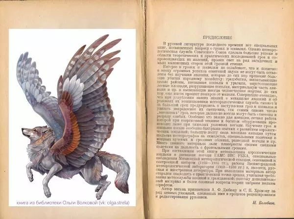 Н. Колобков - Грозы и шквалы - Страница № 2