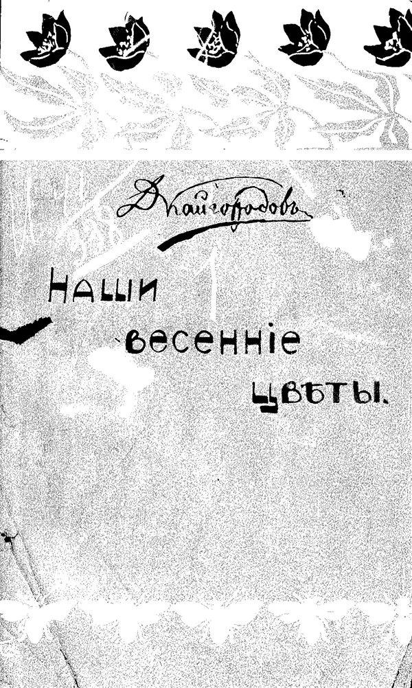 Дмитрий Кайгородов - Наши весенние цветы - Страница № 1