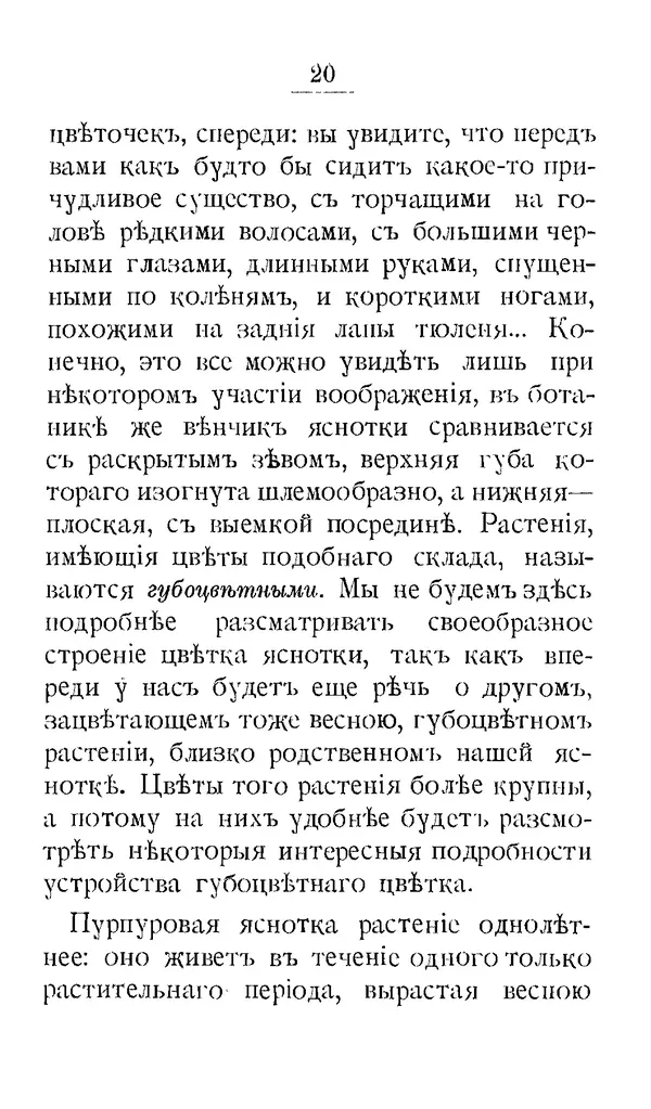 Дмитрий Кайгородов - Наши весенние цветы - Страница № 100