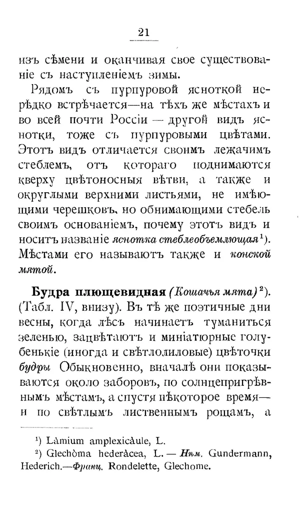 Дмитрий Кайгородов - Наши весенние цветы - Страница № 101
