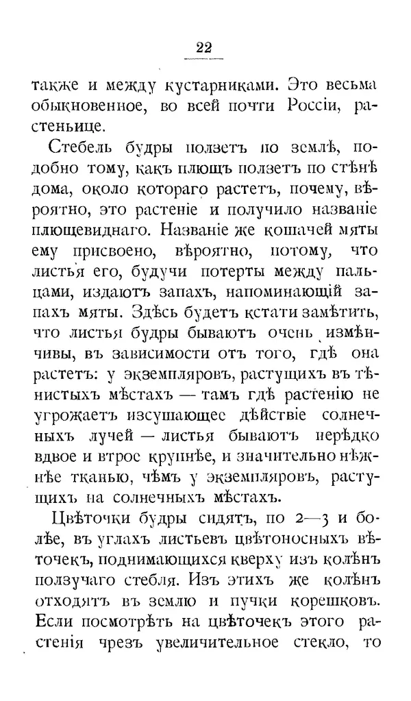 Дмитрий Кайгородов - Наши весенние цветы - Страница № 102