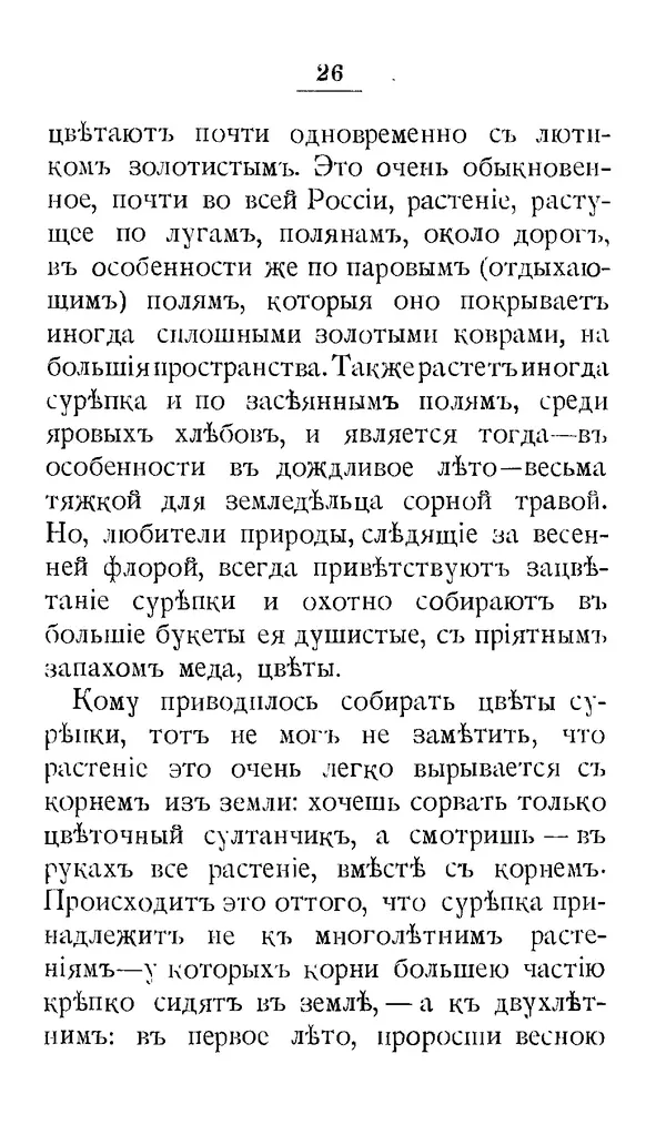 Дмитрий Кайгородов - Наши весенние цветы - Страница № 108