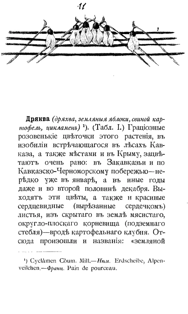 Дмитрий Кайгородов - Наши весенние цветы - Страница № 11
