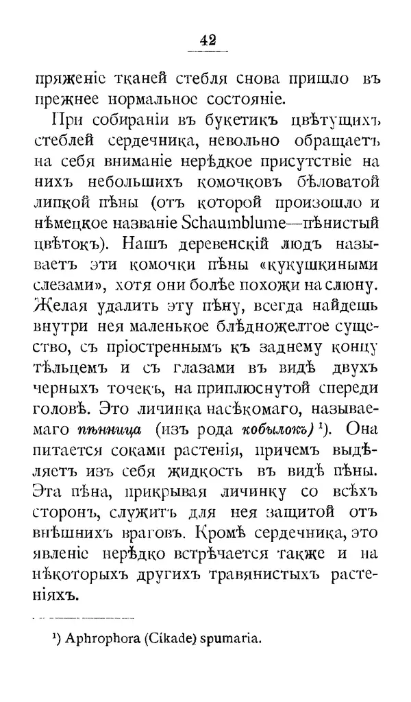 Дмитрий Кайгородов - Наши весенние цветы - Страница № 128