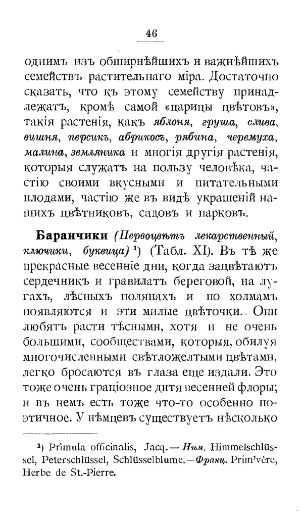 Дмитрий Кайгородов - Наши весенние цветы - Страница № 133