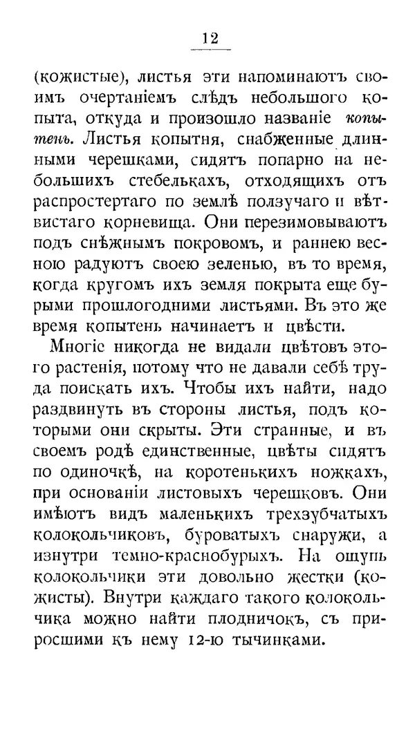 Дмитрий Кайгородов - Наши весенние цветы - Страница № 164